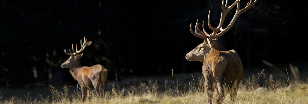 Autumn breaks with family - October Holidays