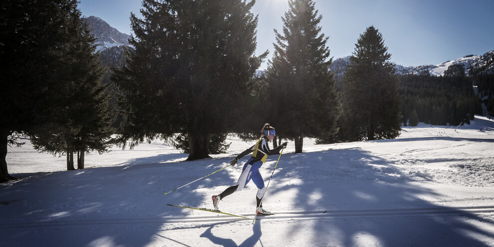 Fare sci di fondo nel bosco