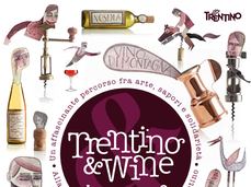 Trentino & Wine