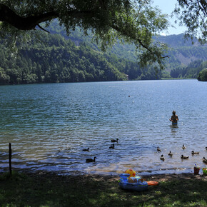 Jezero Lases  | © Foto Archivio Apt Pinè e Cembra
