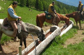 Associazione Natura a cavallo (Verein "Natur zu Pferd")  
