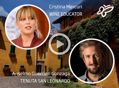 Degustazioni di vino guidate