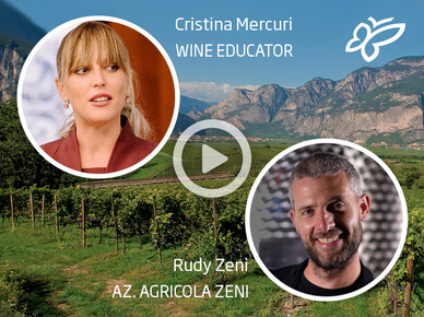 Degustazioni di vino guidate