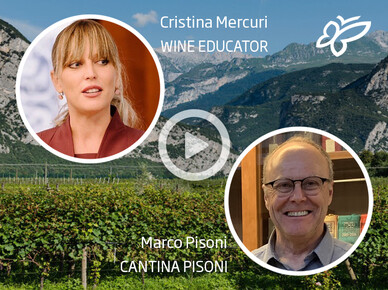 Degustazioni di vino guidate