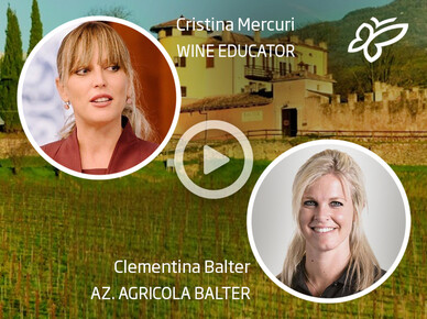 Degustazioni di vino guidate