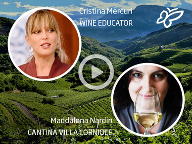 Degustazioni di vino guidate