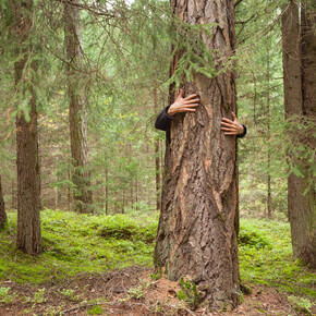 Detox dovolená v Trentinu