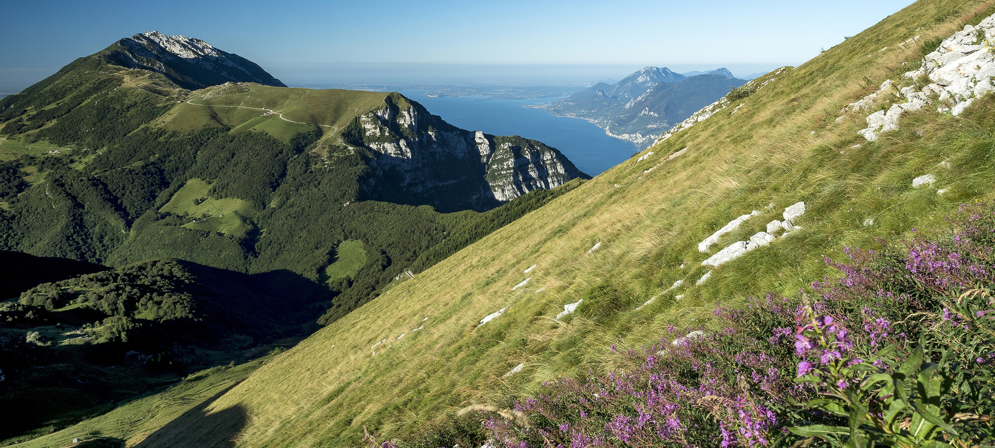 <br> Mountain wellness