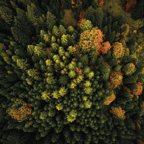 Detox-Erlebnisse in der Natur