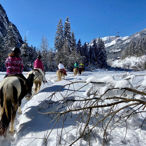 Auf dem Pferderücken durch den Schnee 