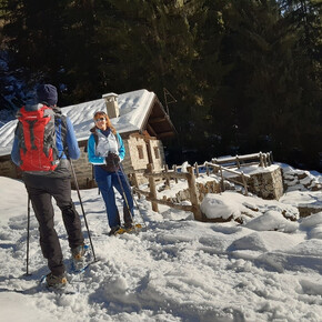 Weit Weg von der Menge