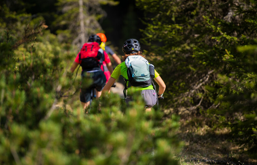 Leggi il decalogo SIEB dedicato all'e-bike