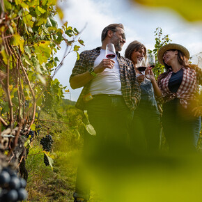 Dem guten Geschmack auf der Spur