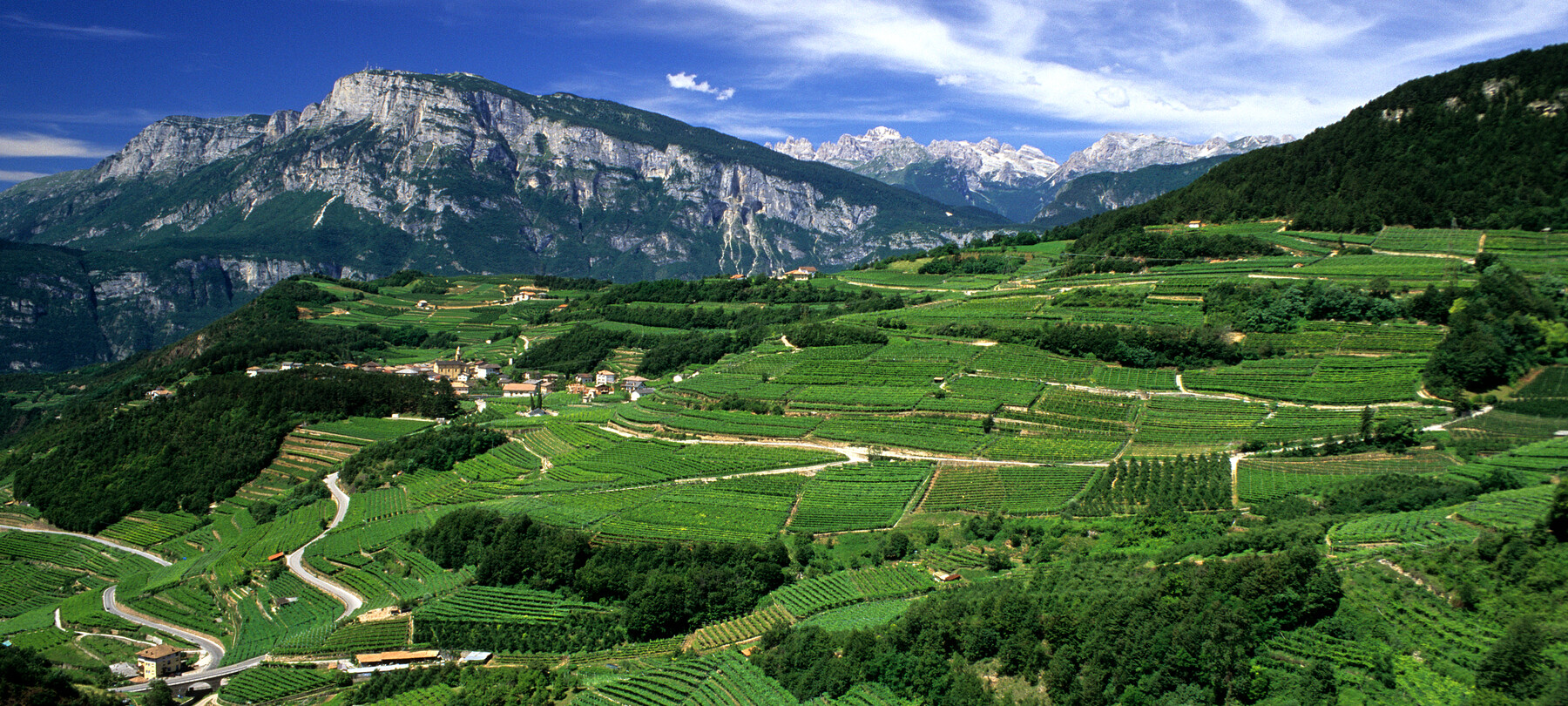 Ausgezeichnete Weine aus dem Trentino