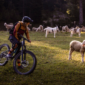 801 "Tour Maurina - Tre Tini" | © APT Dolomiti di Brenta e Paganella