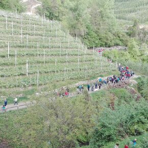 4 Ville in Fiore - Percorso lungo | © APT Val di Non Soc. Coop.