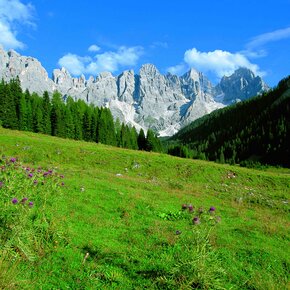 Val Venegia - At the foot of the Pale di San Martino Dolomites | © Trentino Marketing