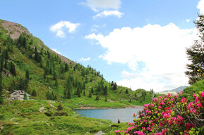Lago e rifugio Colbricon | © APT Val di Fiemme