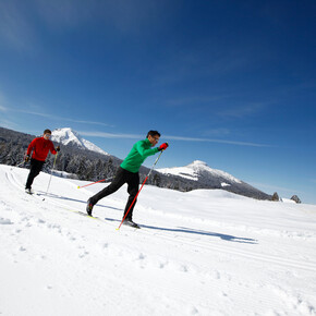Cross country ski Passo Lavazè | © APT Val di Fiemme