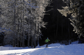 XC skiing on Marcialonga track | © APT - Val di Fiemme