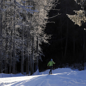 XC skiing on Marcialonga track | © APT Val di Fiemme