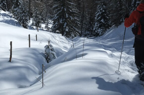 Towards Cazzorga | © APT Fiemme Cembra