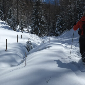 Towards Cazzorga | © APT Fiemme Cembra