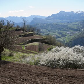 lasta path-visitrovereto | © APT Rovereto Vallagarina Monte Baldo