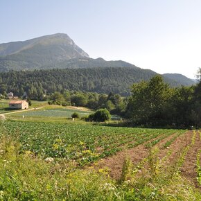 Mount Creino - Val di Gresta | © APT Rovereto Vallagarina Monte Baldo
