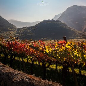 Folgaria | © APT Rovereto Vallagarina Monte Baldo