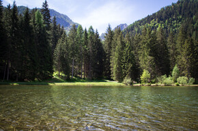 Trail Lago dei Caprioli | © APT Valli di Sole, Peio e Rabbi