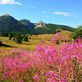 Piana delle Viote | © APT Trento, monte Bondone e Valle dei Laghi