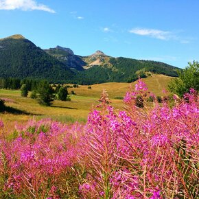 Piana delle Viote | © APT Trento 
