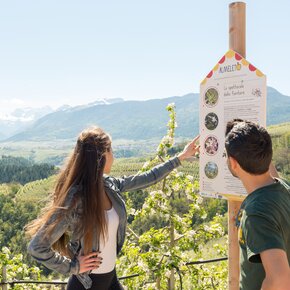 Educational Route AlMeleto | © APT Val di Non 