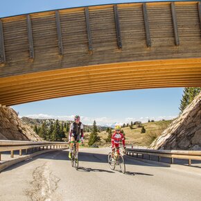 Passo Coe ascent - Great Trentino climbs | © Azienda per il Turismo Alpe Cimbra