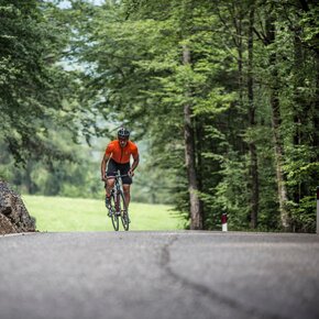 Folgaria - Passo Sommo - Passo della Vena - Forcella Valbona - Passo Coe | © Azienda per il Turismo Alpe Cimbra