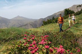 Tour of Monte Cornon | © APT Fiemme Cembra