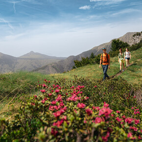 © APT Fiemme Cembra