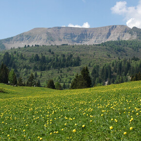 Tour of Mount Peller | © APT Val di Non 