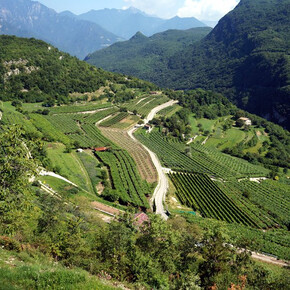 Talpina - Area Protetta del Monte Baldo | © APT Rovereto Vallagarina Monte Baldo