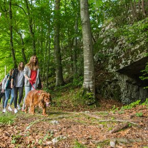 4 - Buchenpfad | © Azienda per il Turismo Alpe Cimbra