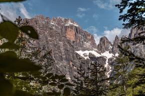 Circular hike from Cavedago to Malga Spora and Rifugio Croz dell'Altissimo | © APT Dolomiti di Brenta e Paganella