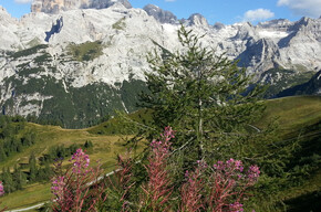 The Brenta Dolomites from Doss del Sabion | © APT Madonna di Campiglio, Pinzolo, Val Rendena