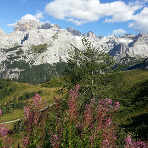 The Brenta Dolomites from Doss del Sabion | © APT Madonna di Campiglio, Pinzolo, Val Rendena