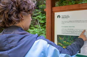 Giants Trail | © Azienda per il Turismo Alpe Cimbra