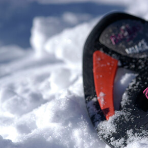 Snowshoeing - On the Roncegno mountain | © APT - Valsugana e Lagorai