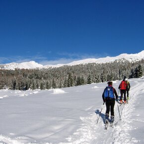 Bocche Spitze in the distance | © APT Fiemme Cembra