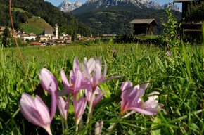 Anello Family Green Way Primiero | © APT San Martino di Castrozza, Primiero e Vanoi