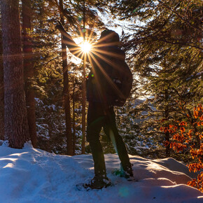 Bosco invernale | © APT Dolomiti di Brenta e Paganella