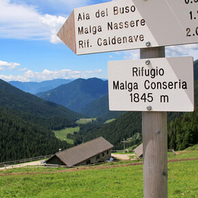 Wanderung zur Schutzhütte Rifugio Malga Conseria | © APT Valsugana e Lagorai